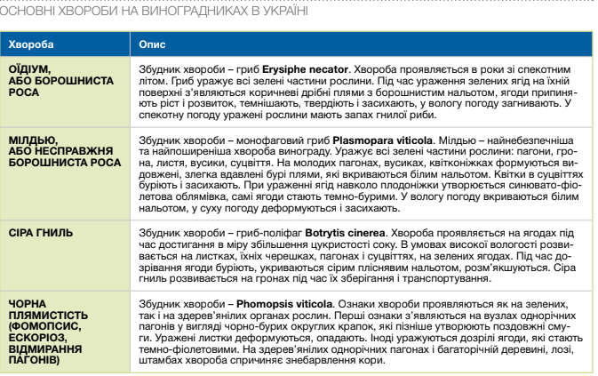 Основні хвороби на виноградників України