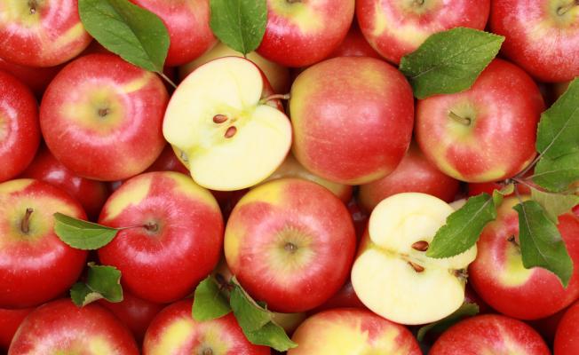  Программа «Натуральное Яблоко®»: качество урожая и конечного продукта