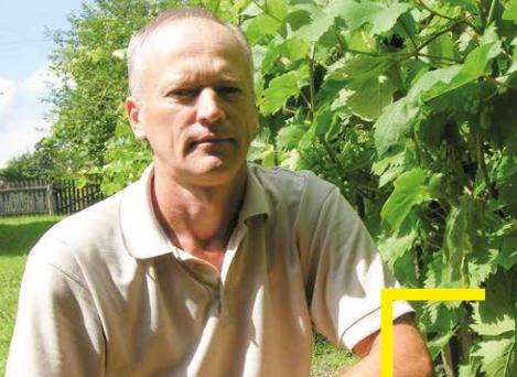  Від теорії – до практики: як виростити якісний виноград?
