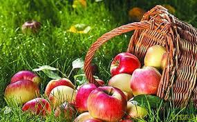  Конкурентоспроможність продукції – наслідок якісного захисту