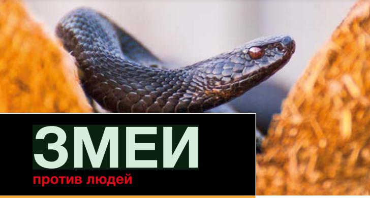  Змеи против людей: как защитить себя от атаки
