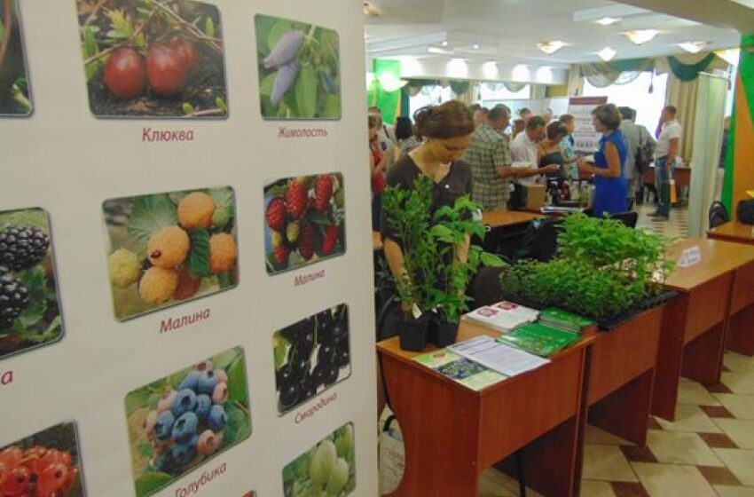  Итоги Международной научно-практической конференции «Технологии и инновации: от земли до готового продукта»