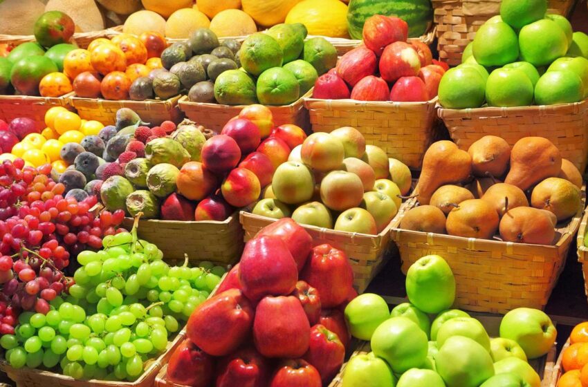  В Україні динамічно зростає експорт садівничої продукції