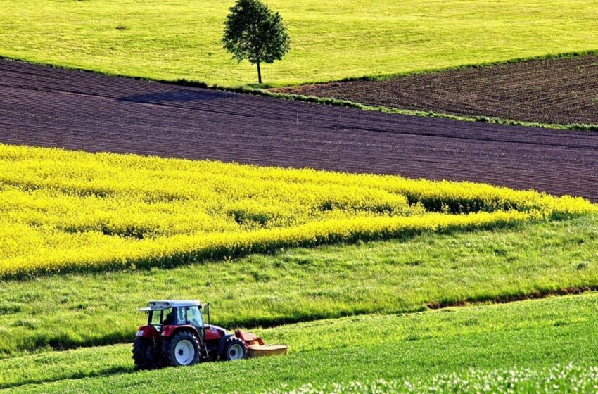  В Україні суттєво зросла кількість земельних угод
