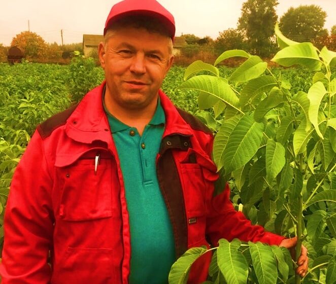  Основи створення і запилення горіхового саду