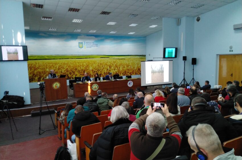  Для успішного майбутнього горіхової галузі потрібен ребрендинг і кооперація