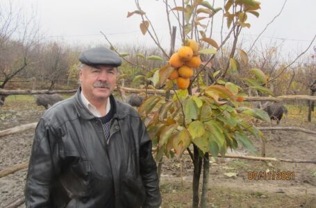Це та наступні фото – з фейсбук-сторінки Михайла Зелді.  