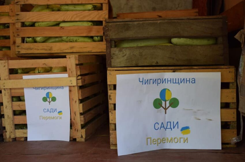  «Сади Перемоги» дають перші плоди