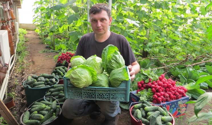  Органічне городництво в обложеній Шостці: як це було?