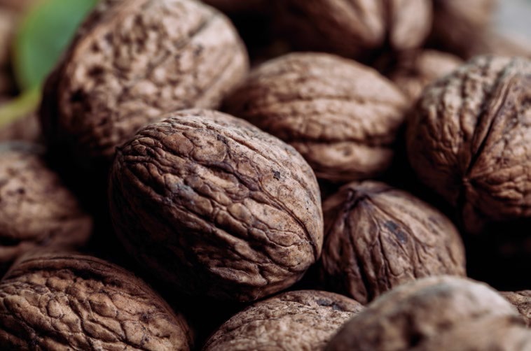  «Наш секрет успіху захований у наших помилках…»