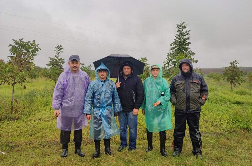  Як минуло щорічне зібрання рівненських і волинських горіхівників