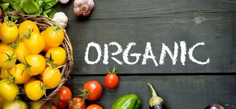  Україна – у ТОП-5 найбільших експортерів органічної продукції до ЄС