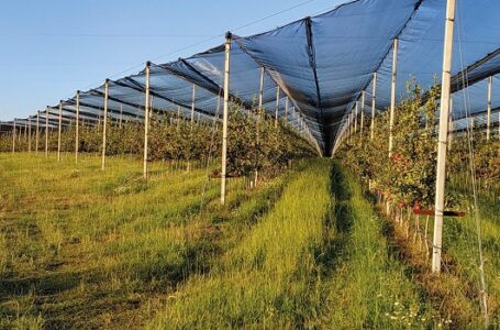 Аграрії отримають більше можливостей за програмою «Доступні кредити 5-7-9%»