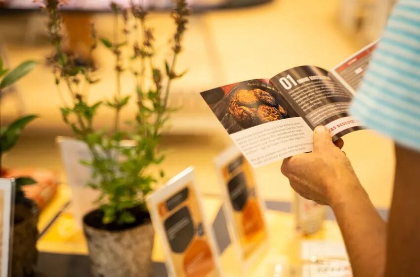  BIOFACH збере виробників органічної продукції 14-17 лютого