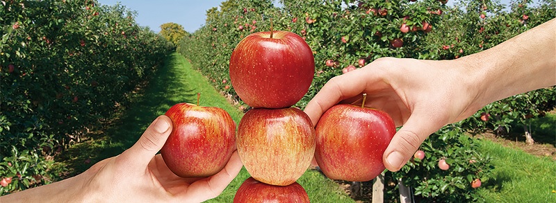  Виклики сезону 2022 та підготовка до нового врожаю