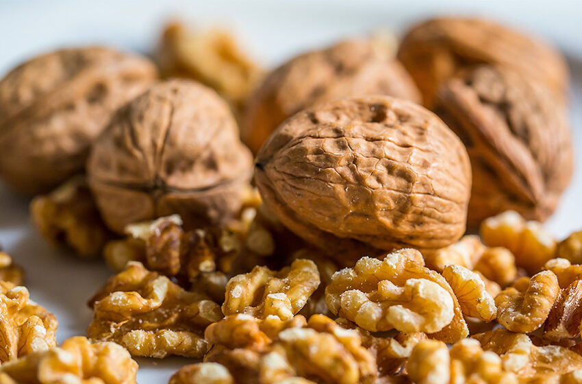  Де ховається справжня небезпека для горіхових садів?