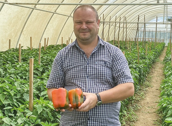  Добрива ТМ Meristem в овочівництві: успішні кейси використання