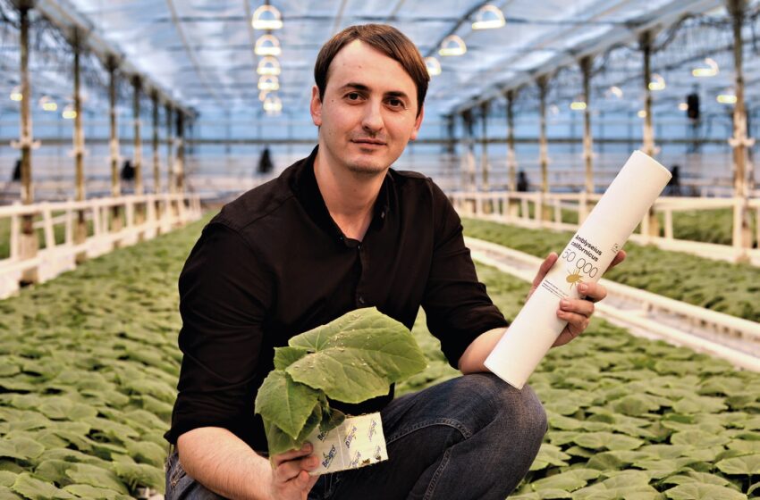  Біологічний контроль у садівництві