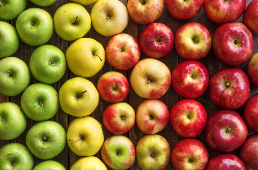  Українські яблука виходять на індійський ринок