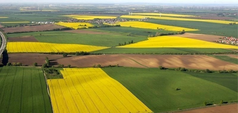  Рада ухвалила закон щодо управління землями держпідприємств