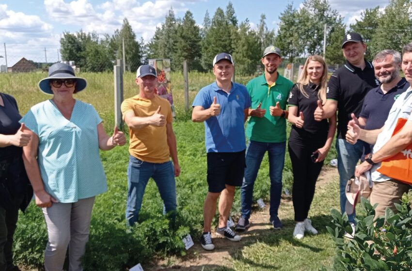  «Стійка Україна»: перші результати проєкту, що об’єднує українські та нідерландські компанії