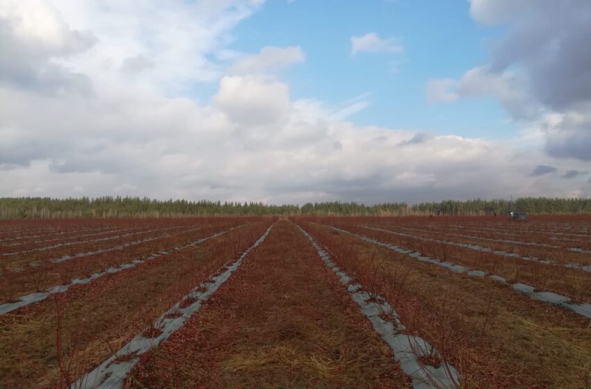  Відоме підприємство «Нікдарія» відвідають учасники бізнес-туру 8 грудня