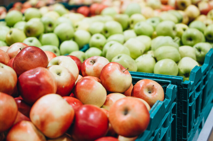  Яблука та ягоди не увійшли до списку продуктів експорту, які швидко псуються