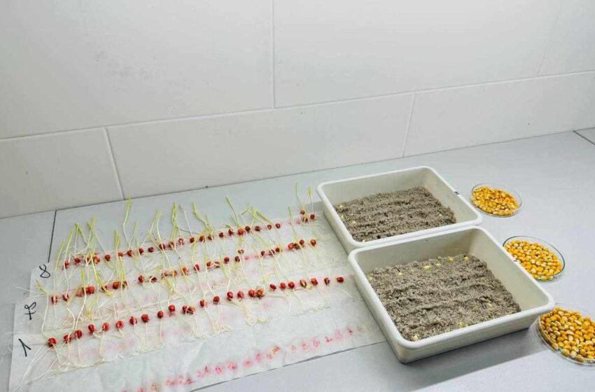  Випробувано холодом: Ukravit Institute пропонує нову послугу