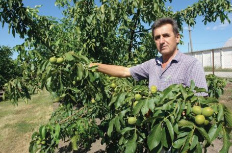 Засновник та керівник ПП «Деметра-2010»
Анатолій Зелениця