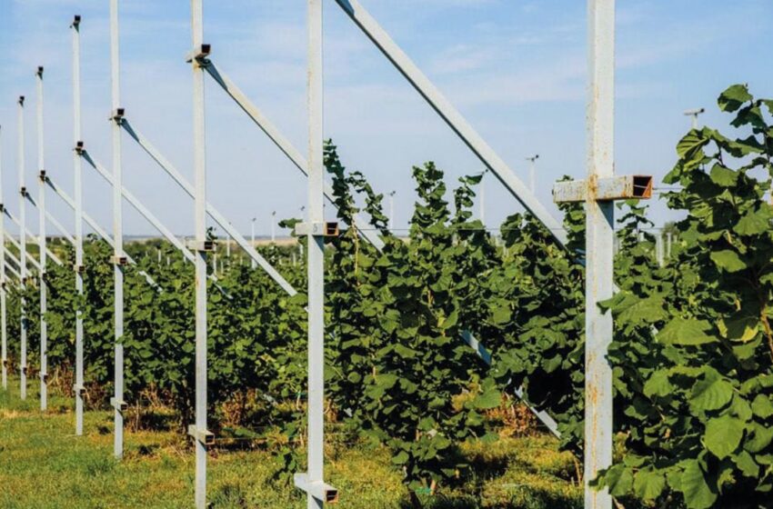  З «прицілом» на розвиток та державною підтримкою