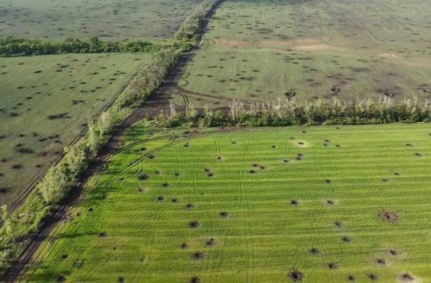  У пріоритеті – розмінування земель з багаторічними насадженнями