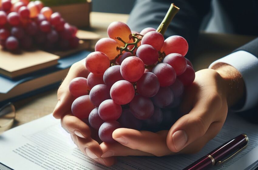  Інтелектуальна власність — це захист ваших інвестицій в новації на ринку ягід та овочів