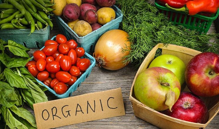  Україна знову встановила рекорд вартості експорту органічної продукції