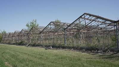  Через війну овочева фабрика на Харківщині перепрофілювалася