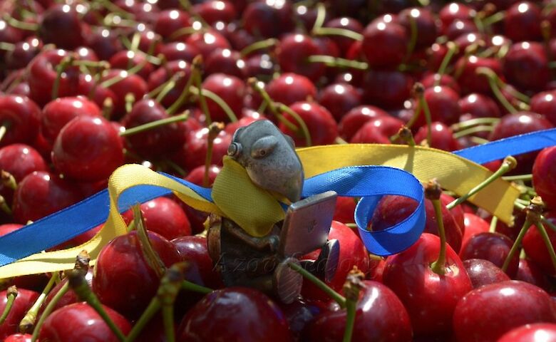  Урядова делегація звернулася до ВОІВ через крадіжку росією географічного значення