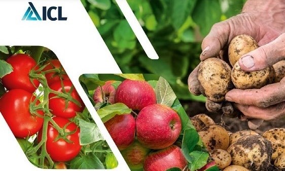  Добрива ICL: надійні рішення для аграрного сектору