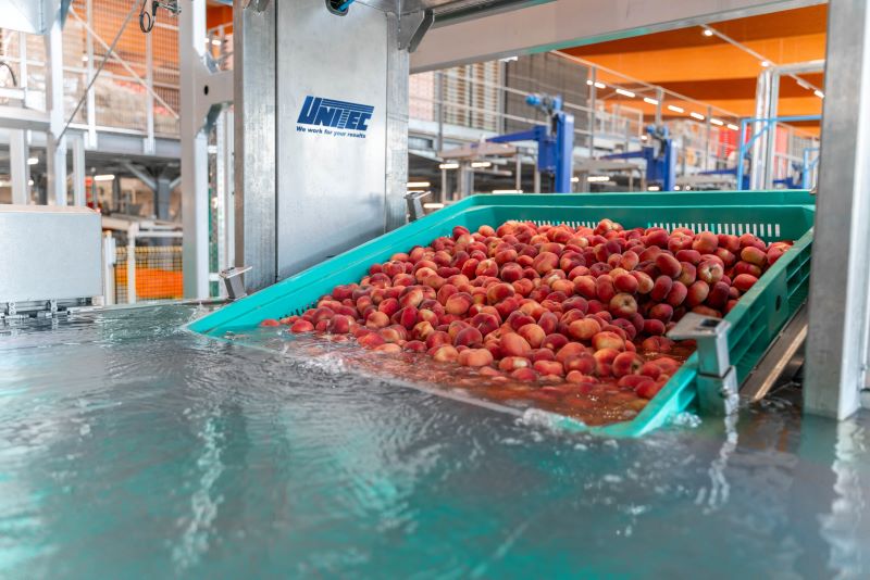  Коли фрукти не плавають, допомагає робот UNITEC