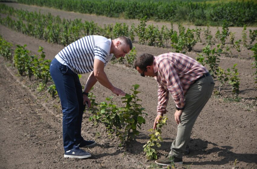  На Рівненщині садівництво розвивається за допомогою державних грантів