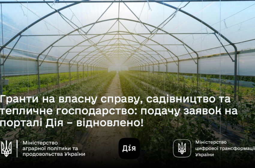  Відновлено можливість отримати гранти через портал Дія