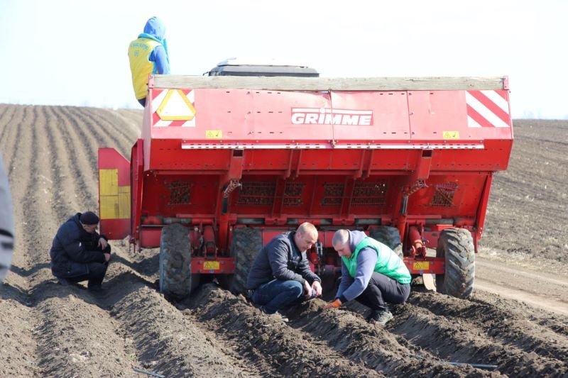  У травні очікують на врожай ранньої картоплі у “ПАЕК”