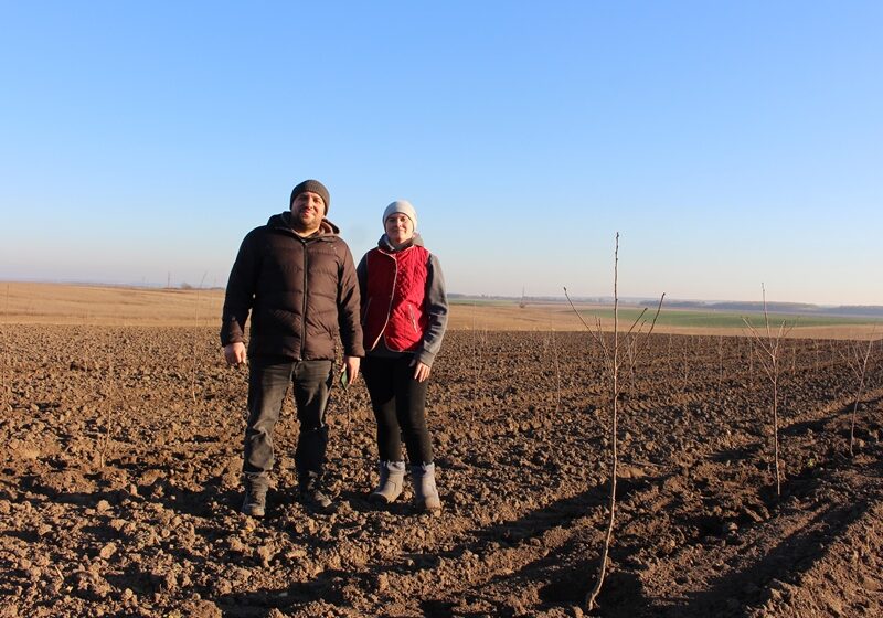  «Сади Полісся»: ставка на вишню з орієнтацією на експорт