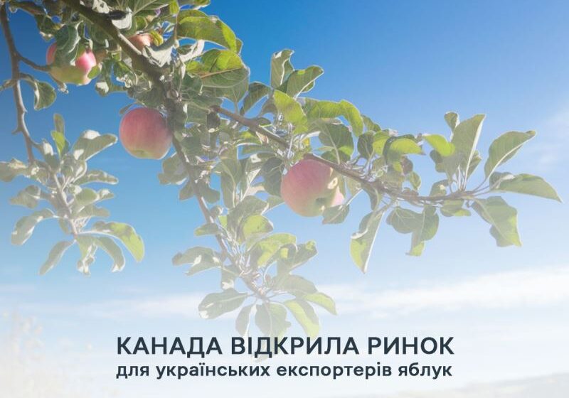  Канада відкрила ринок для українських експортерів яблук