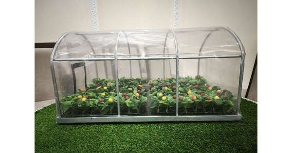  Узбекистанські вчені створили плівку, яка регулює температуру в теплицях