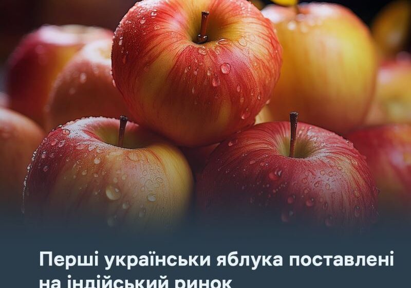  Перші українськи яблука потрапили на індійський ринок
