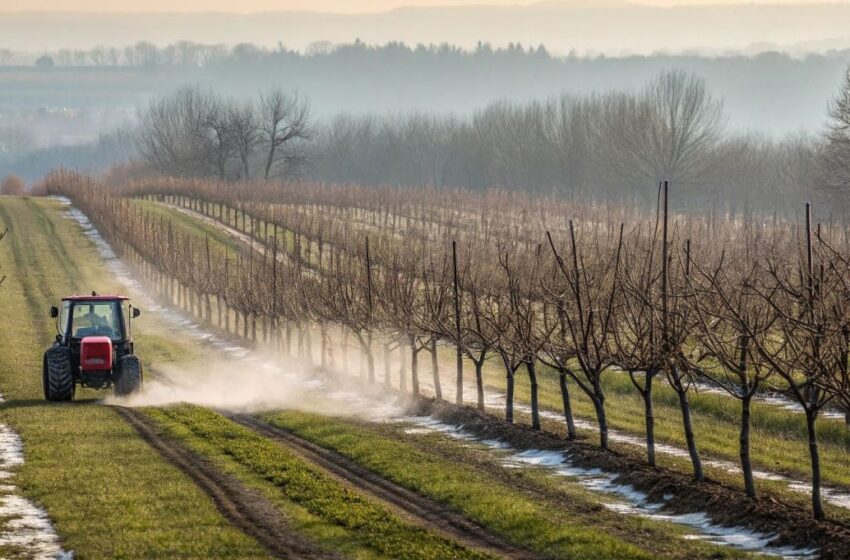  Ефективність обробок багаторічних насаджень пестицидами та чинники, що впливають на їх проведення