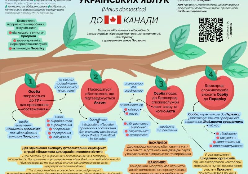  Експорт українських яблук до Канади: покрокові дії для експортера