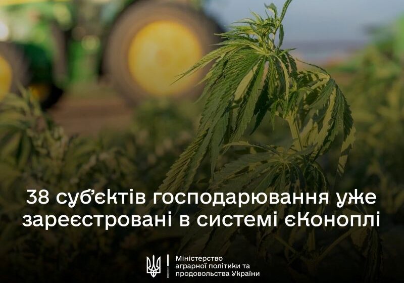 В системі єКоноплі зареєстровані вже 38 суб’єктів господарювання