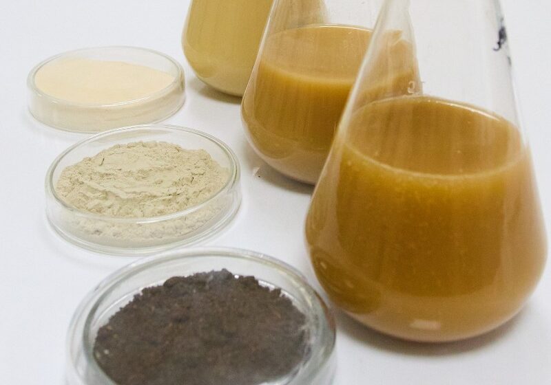  BTU розширила виробництво сухих форм біопрепаратів