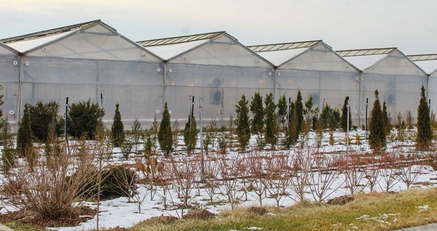  Курс на різноманіття та екологічно чисту продукцію