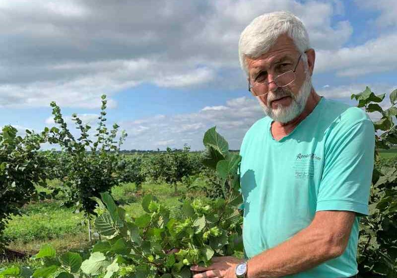  ФУНДУК В УКРАЇНІ – СТРАТЕГІЧНА КУЛЬТУРА: УСПІШНИЙ ДОСВІД ФГ «РОМАЛІН»